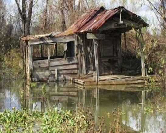 Abandoned Shed in the Everglades Sells for $700K, Cash, Sight Unseen
