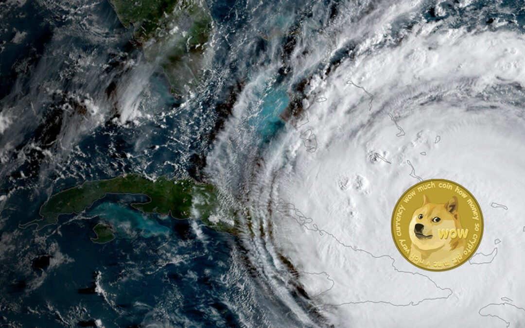 City of Miami Converts Its Hurricane Relief Fund into Dogecoin