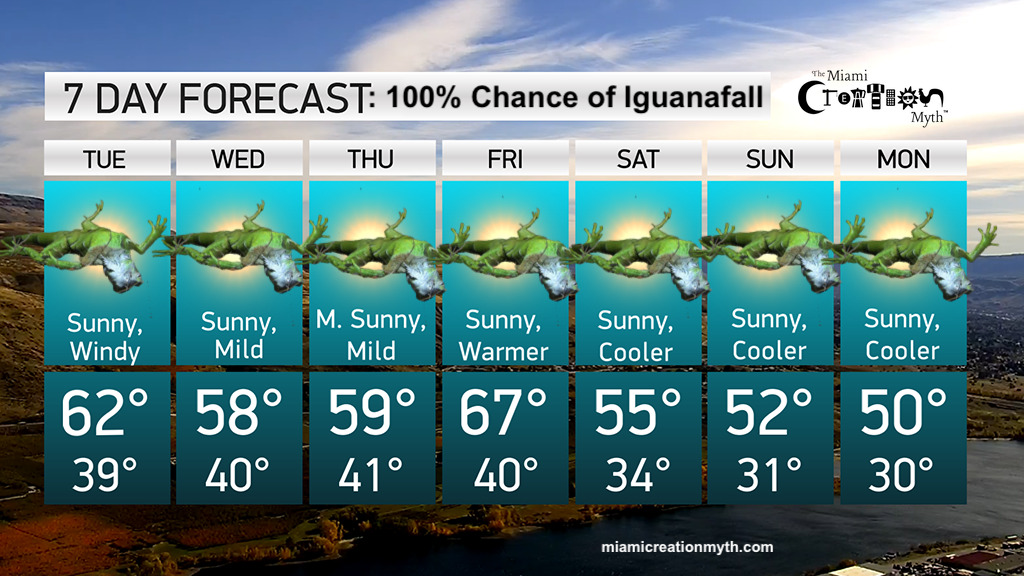 Florida Weather Forecast Calls for a 100 Chance of Iguanafall