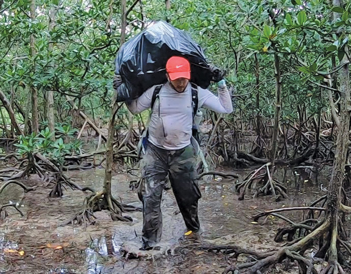 Miami's mangroves